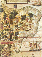 Mapa del Brasil en 1519.
