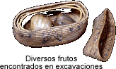 Cesta de frutos