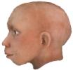 Homo de Neanderthal