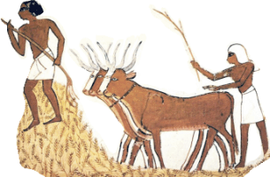Agricultura en Egipto