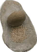Neolithic hand mill