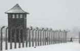 Torre y alambradas del campo de concentración nazi de Auschwitz-Birkenau. Ampliar imagen